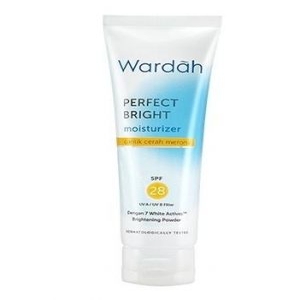 Cek Bpom Wardah Perfect Bright Creamy Foam Brightening + Oil Control