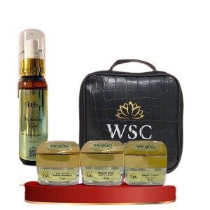 CEK BPOM WSC Premium Night Cream DNA Salmon