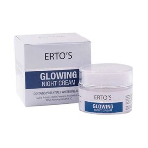 CEK BPOM Erto`S Glowing Night Cream