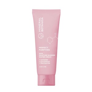 Mineral Botanica Perfect Purifying Facial Foam With Centella Asiatica Extract and Niacinamide