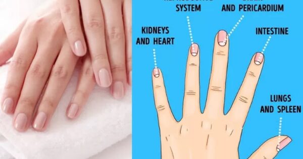 Terbuat dari Apakah Kuku Itu? Ini Dia Bahan Pembentuk, Manfaat, dan Fakta Menariknya!
