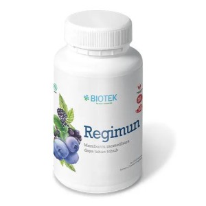 Regimun