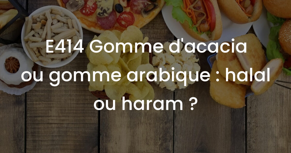mengupas tuntas status halal e414 gum arabic aditif yang aman untuk umat muslim